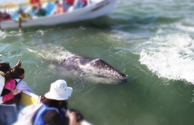 Actividades en grupo